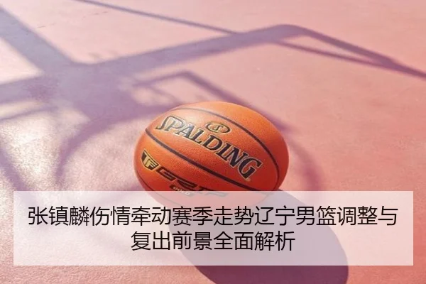 张镇麟伤情牵动赛季走势辽宁男篮调整与复出前景全面解析